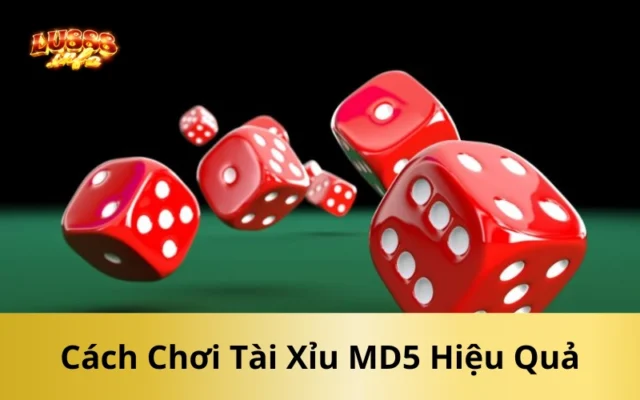 Cách Chơi Tài Xỉu MD5 Hiệu Quả