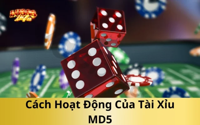Cách Hoạt Động Của Tài Xỉu MD5