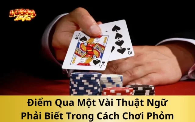 Điểm Qua Một Vài Thuật Ngữ Phải Biết Trong Cách Chơi Phỏm