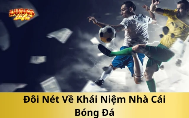 Đôi Nét Về Khái Niệm Nhà Cái Bóng Đá