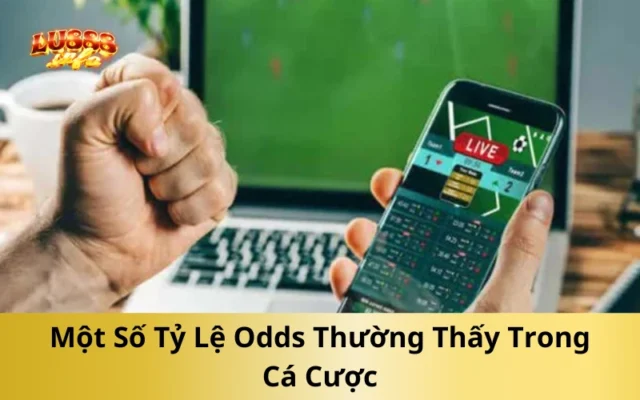 Một Số Tỷ Lệ Odds Thường Thấy Trong Cá Cược